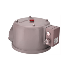 Automatic Pressure Relief Valve Safety Device